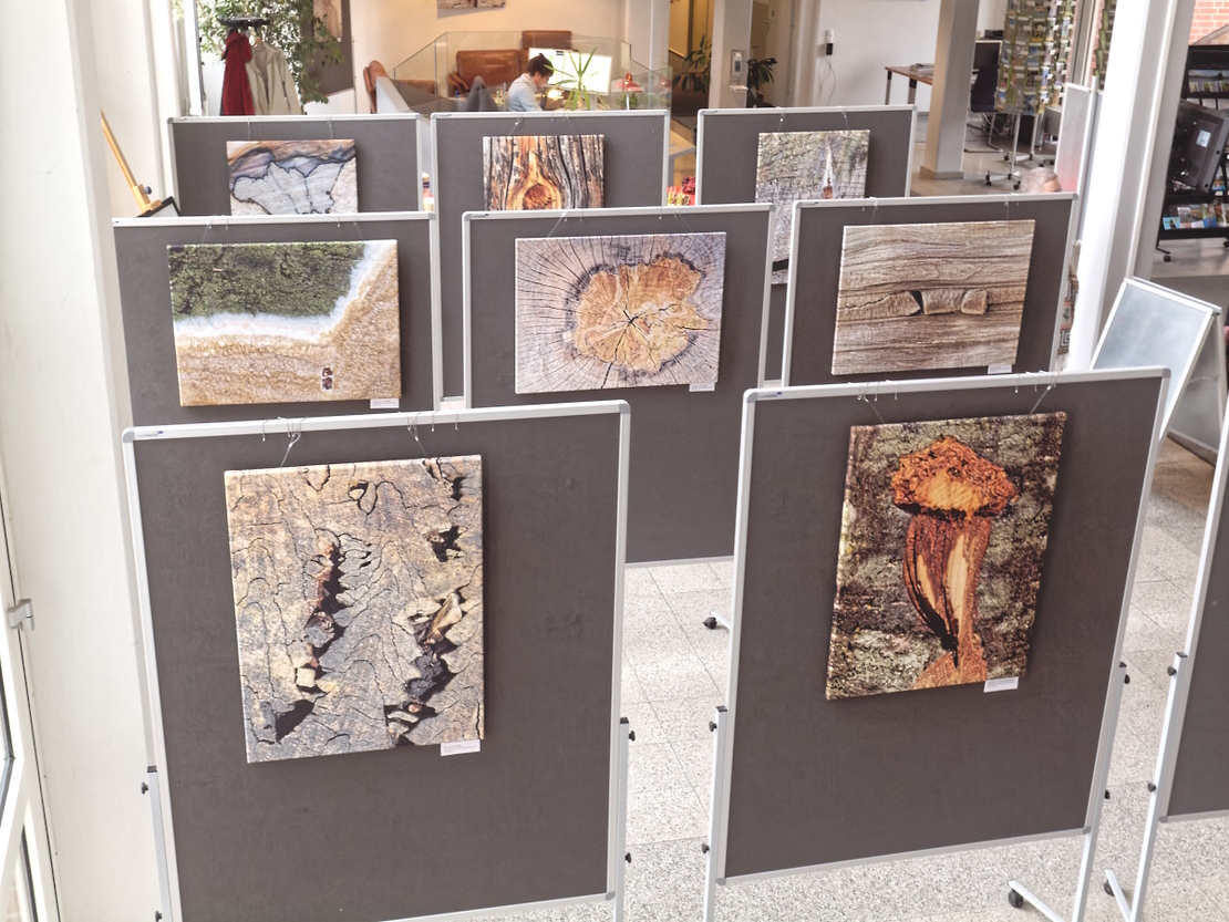 Ausstellung LFU 2023