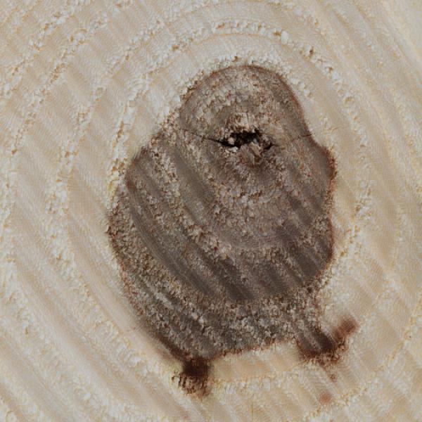 Links, zwo, drei, vier ...